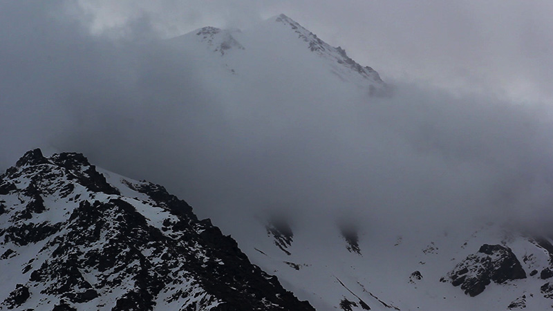 Жопа пришла