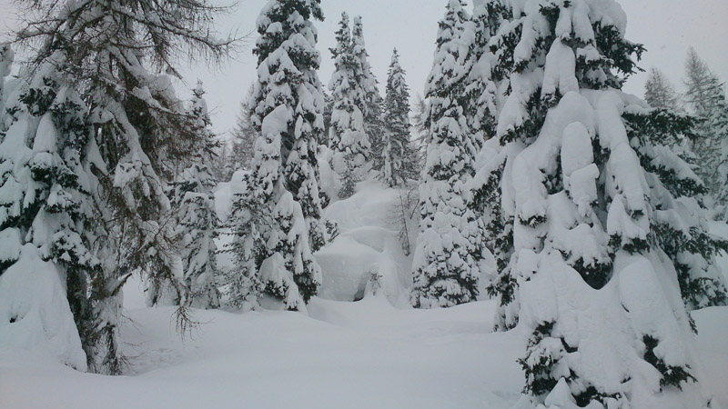 san martino di castrozza (1)