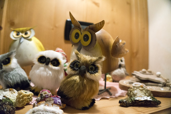 san martino di castrozza (16)